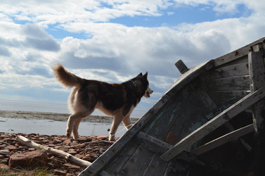 Similar image 22092840