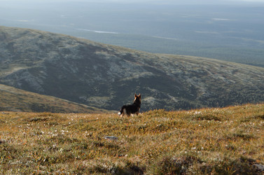 Similar image 22092868