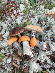 Similar image 22092870