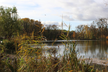 Similar image 22110028