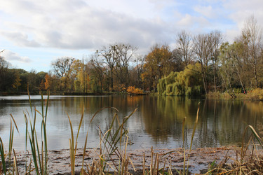 Similar image 22110029