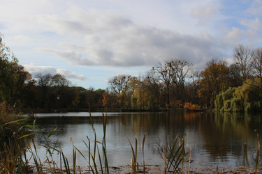 Similar image 22110030