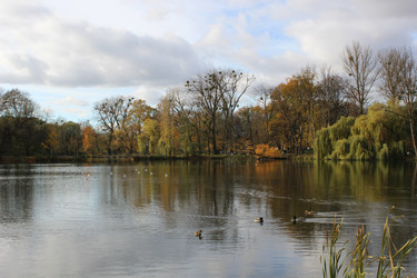 Similar image 22110031