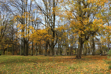 Similar image 22110032