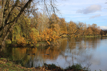 Similar image 22110033