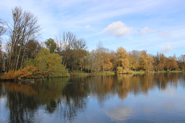 Similar image 22110034