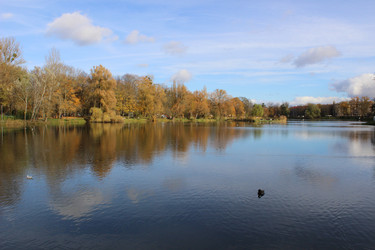 Similar image 22110035