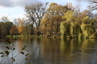 Similar image 22110036