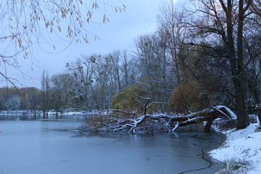 Similar image 22110037