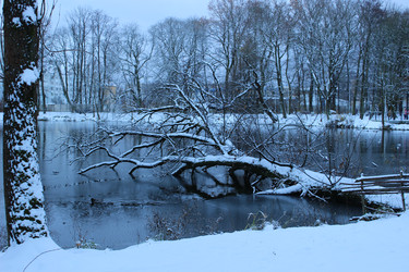 Similar image 22110038