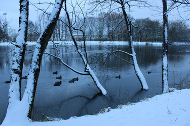 Similar image 22110039