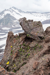 Similar image 22110050