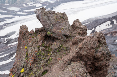 Similar image 22110058