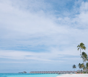 Similar image 22097852