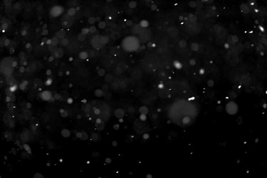 Similar image 22095033