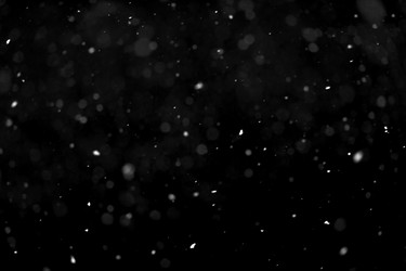 Similar image 22095039