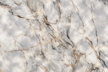 Similar image 22094723