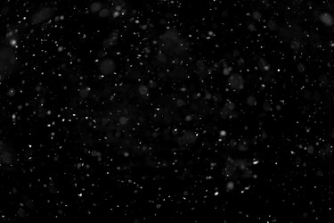 Similar image 22095089