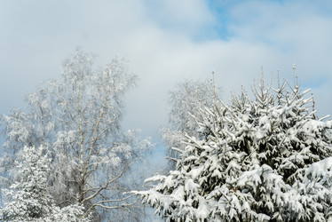 Similar image 22095090