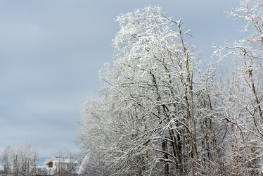 Similar image 22095092