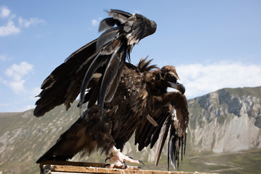 Similar image 22106185