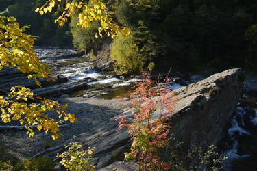 Similar image 22109708