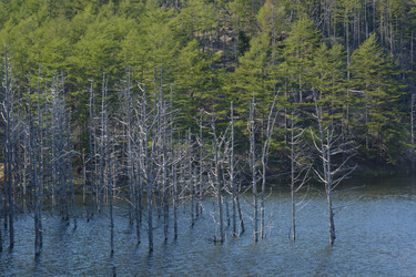 Similar image 22109714