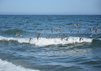 Similar image 22109948