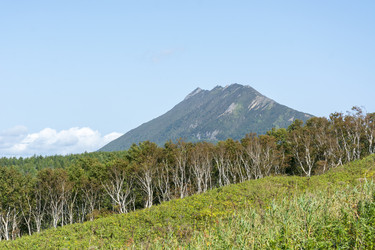 Similar image 22109954