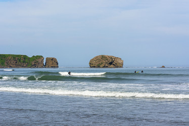 Similar image 22109956