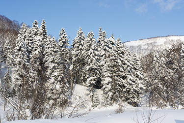 Similar image 22109957