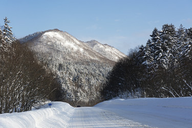 Similar image 22109958