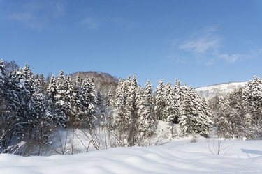 Similar image 22109959