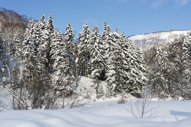 Similar image 22109966