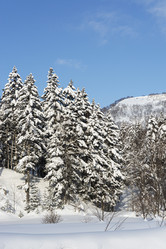 Similar image 22109968