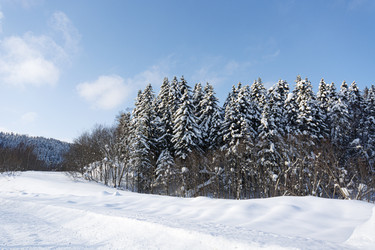 Similar image 22109969