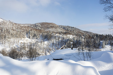 Similar image 22109971