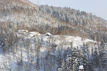 Similar image 22109986