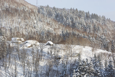 Similar image 22109987