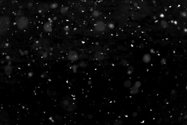 Similar image 22094746