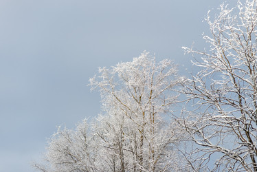 Similar image 22094752