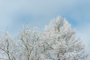 Similar image 22094757