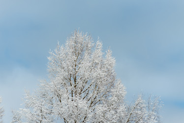 Similar image 22094763