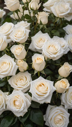 Similar image 22114173