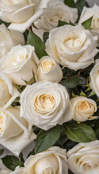 Similar image 22114174