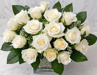 Similar image 22116355