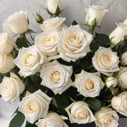 Similar image 22116358