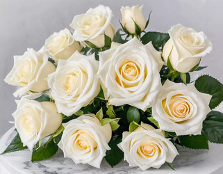 Similar image 22116620