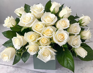 Similar image 22118588