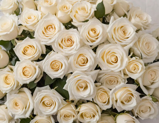 Similar image 22119074